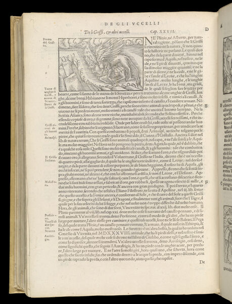 Text Page 524 (illustration and text)