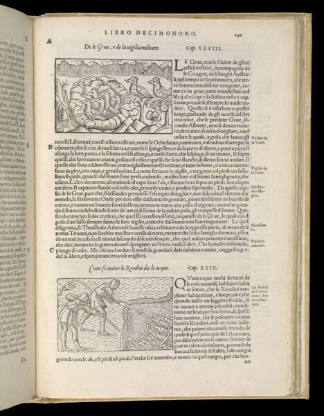 Text Page 525 (illustrations and text)