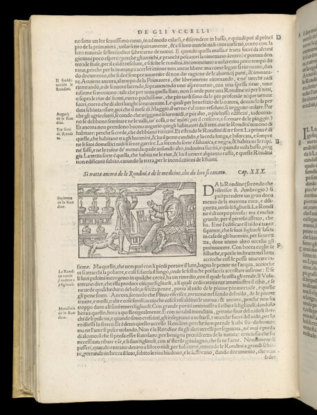 Text Page 526 (illustration and text)