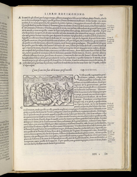 Text Page 529 (illustration and text)