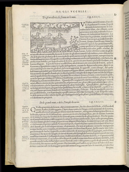 Text Page 530 (illustration and text)