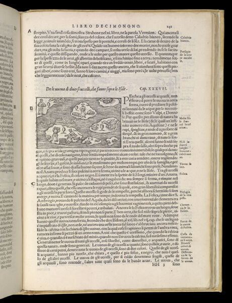 Text Page 531 (illustration and text)