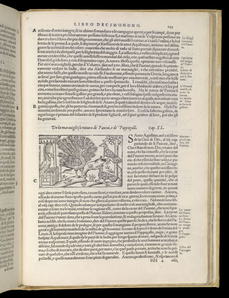 Text Page 533 (illustration and text)