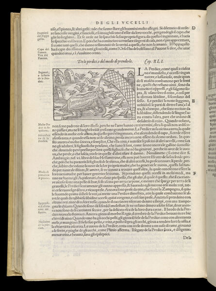Text Page 534 (illustration and text)