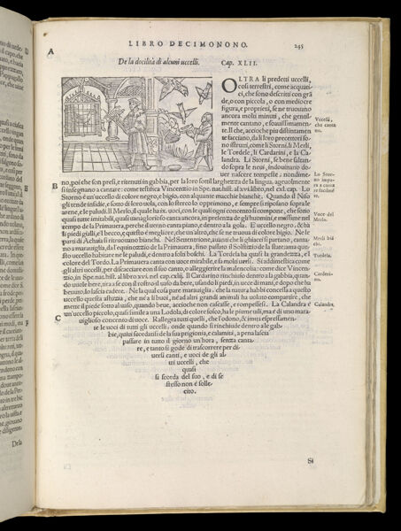 Text Page 535 (illustration and text)