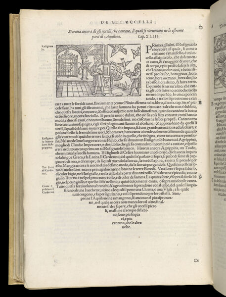 Text Page 536 (illustration and text)