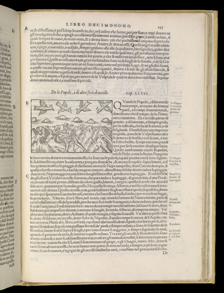 Text Page 539 (illustration and text)