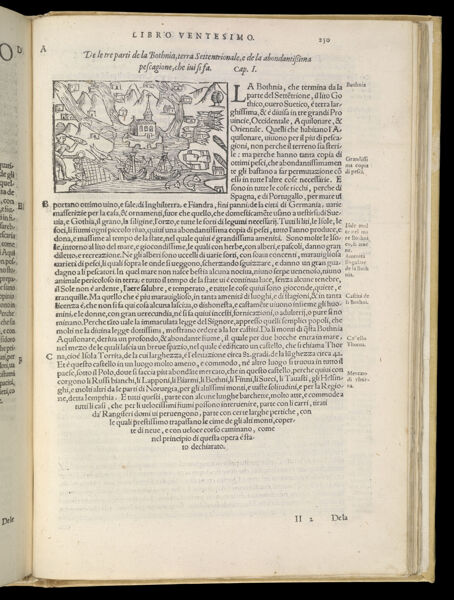 Text Page 545 (illustration and text)