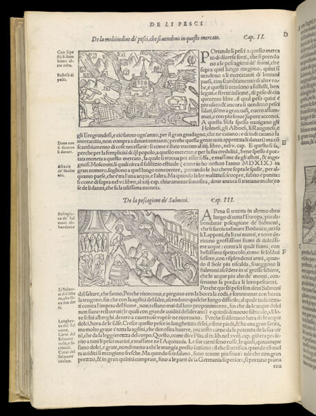 Text Page 546 (illustrations and text)