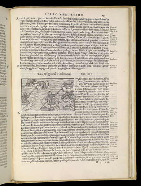 Text Page 547 (illustration and text)