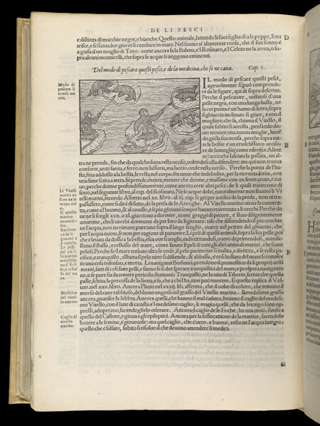 Text Page 548 (illustration and text)