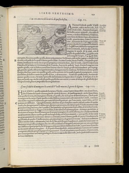 Text Page 549 (illustration and text)