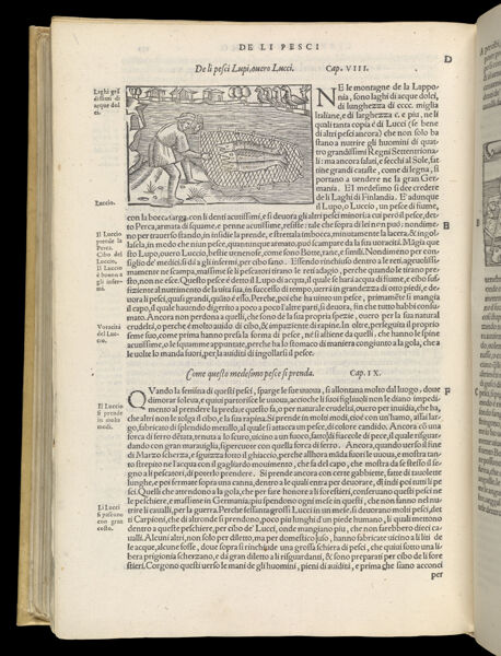 Text Page 550 (illustration and text)