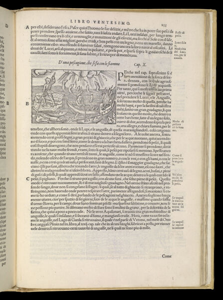 Text Page 551 (illustration and text)