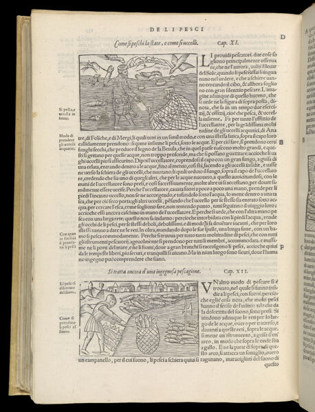 Text Page 552 (illustrations and text)