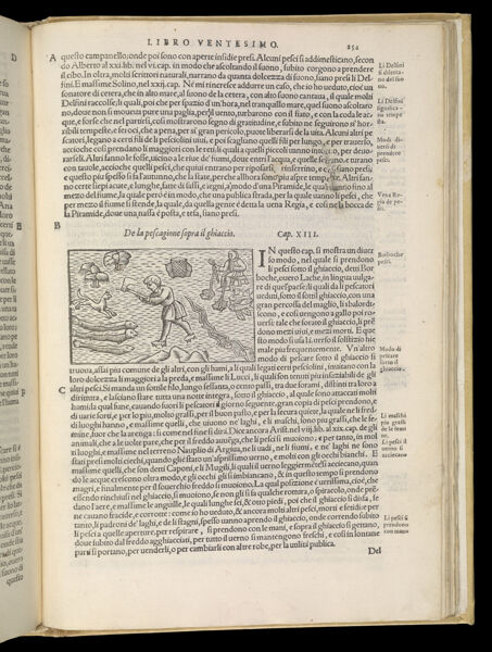 Text Page 553 (illustration and text)