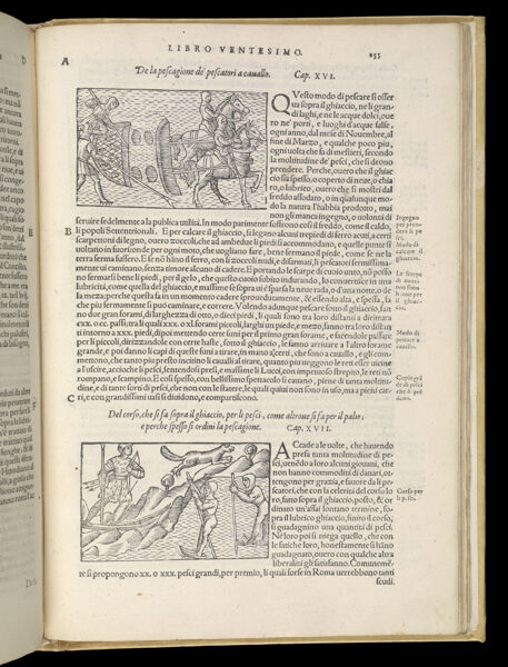 Text Page 555 (illustrations and text)
