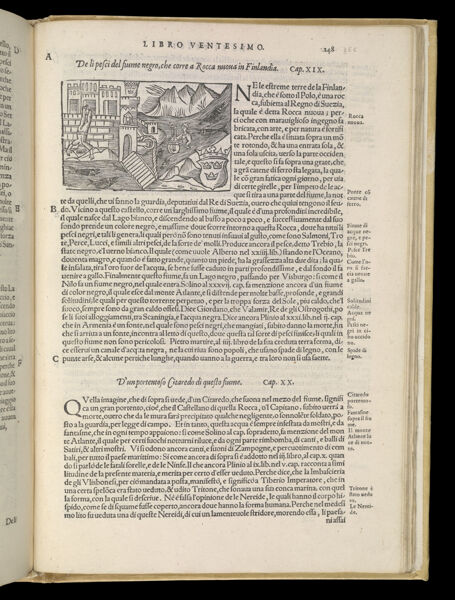 Text Page 557 (illustration and text)
