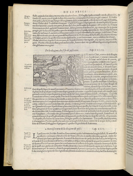 Text Page 560 (illustration and text)