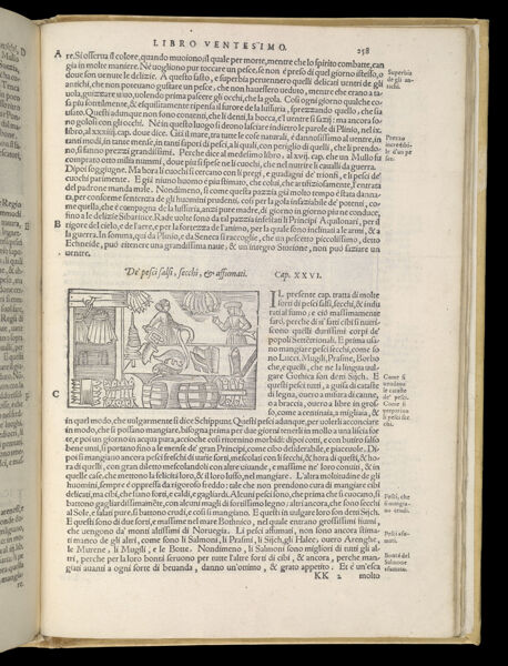 Text Page 561 (illustration and text)