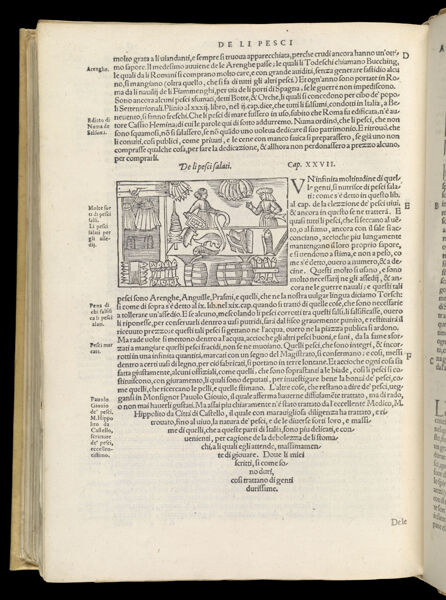 Text Page 562 (illustration and text)