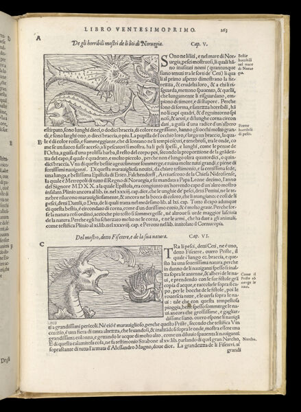 Text Page 571 (illustrations and text)