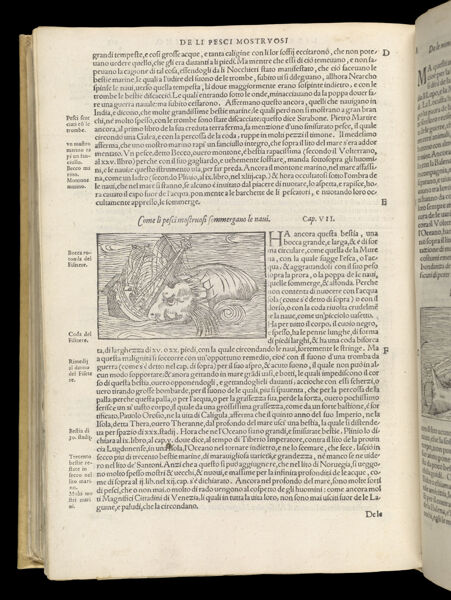 Text Page 572 (illustration and text)