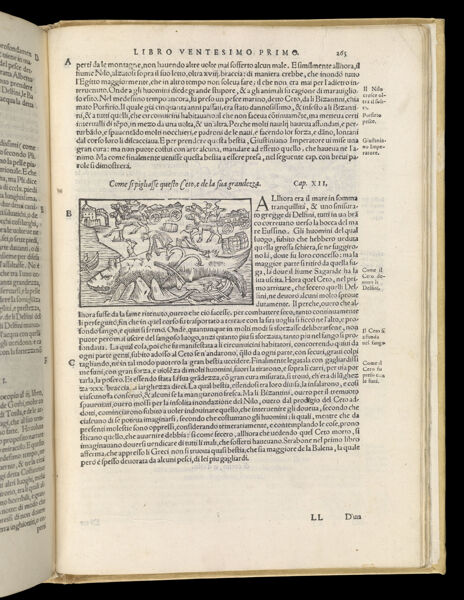 Text Page 575 (illustration and text)
