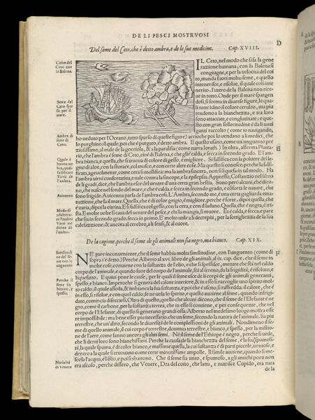 Text Page 580 (illustration and text)