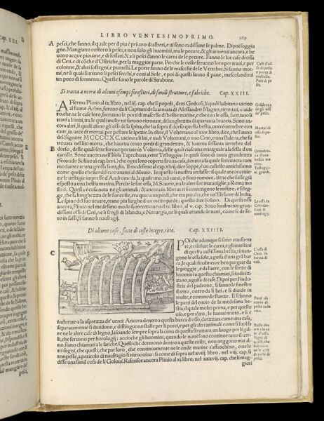 Text Page 583 (illustration and text)