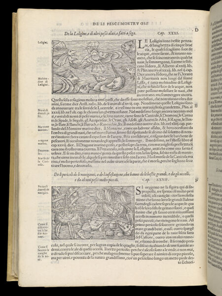 Text Page 588 (illustrations and text)