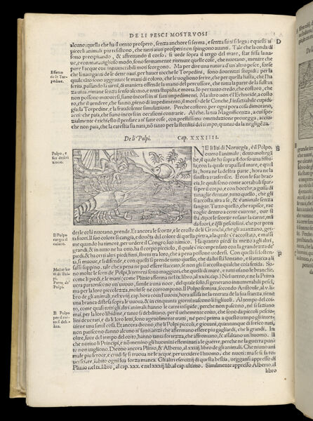 Text Page 590 (illustration and text)