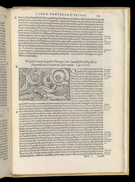 Text Page 593 (illustration and text)