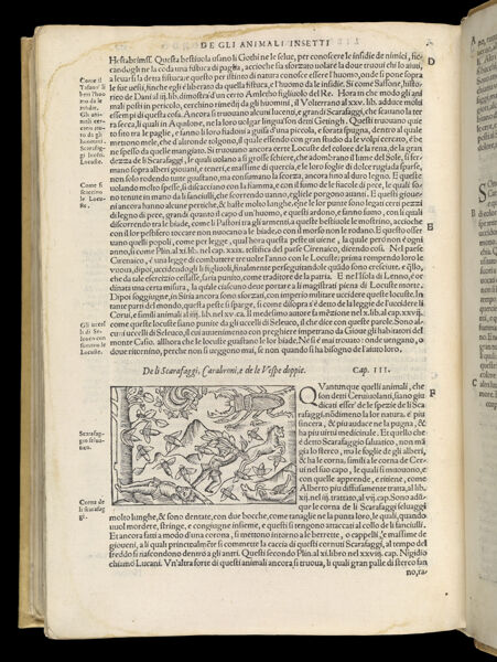 Text Page 604 (illustration and text)