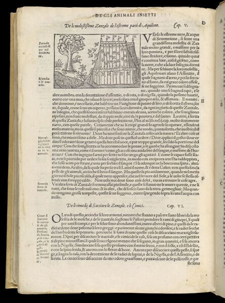 Text Page 606 (illustration and text)