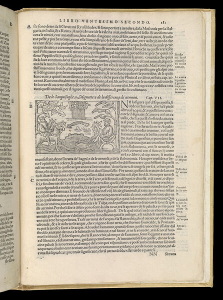 Text Page 607 (illustration and text)