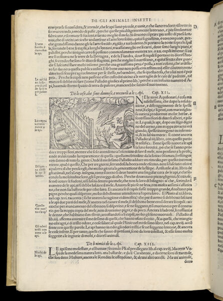 Text Page 610 (illustration and text)