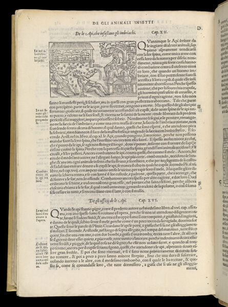 Text Page 612 (illustration and text)