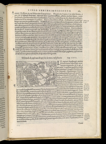 Text Page 613 (illustration and text)