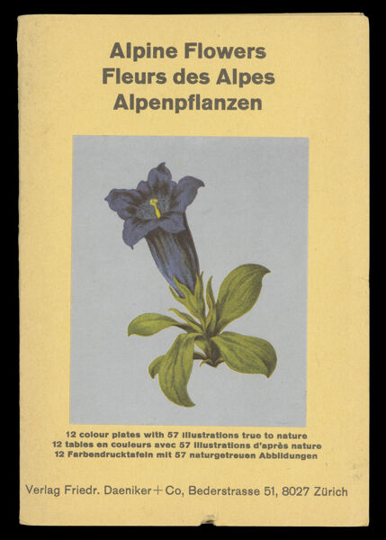 Alpine Flowers - Fleurs des Alpes - Alpenflanzen