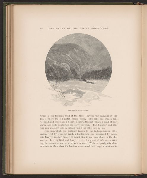 Elephant's Head, Winter