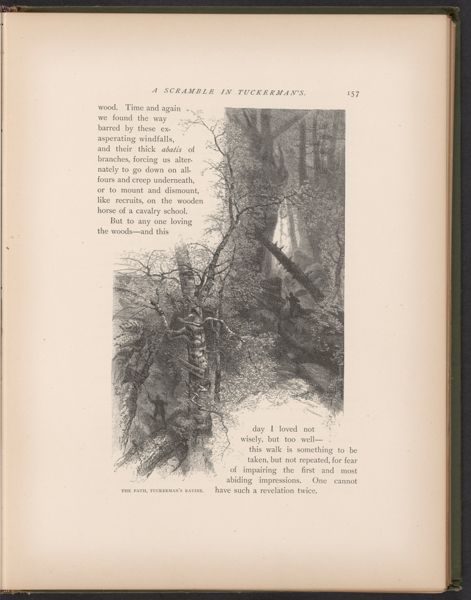 The Path, Tuckerman's Ravine