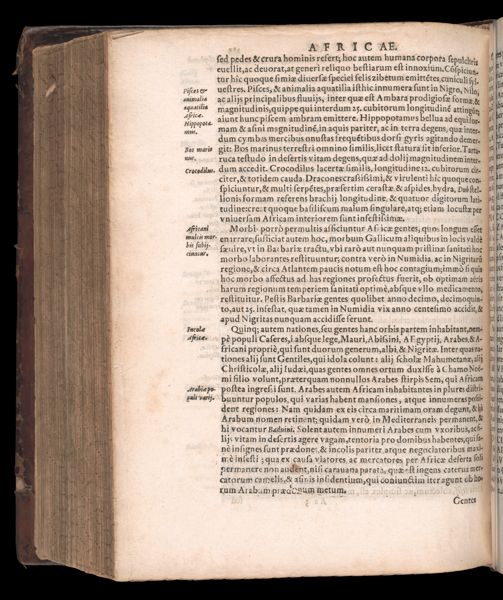 Page 592