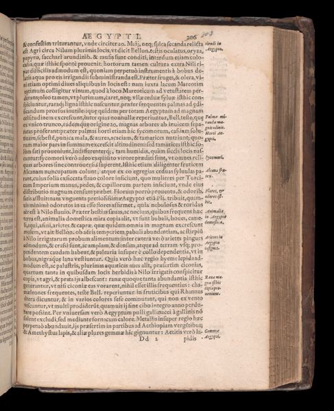 Page 636