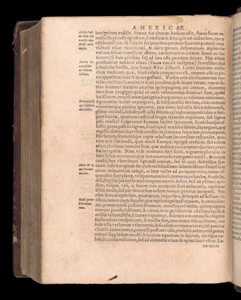 Page 784
