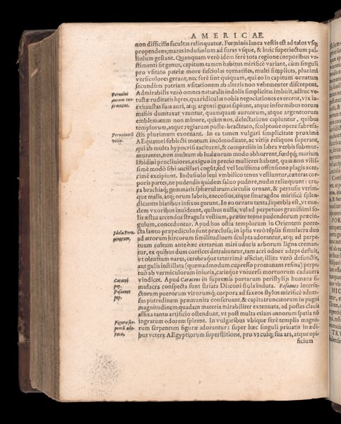 Page 786