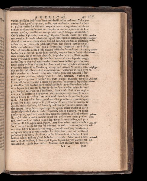 Page 791