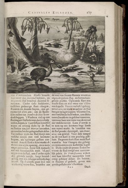 Page 226