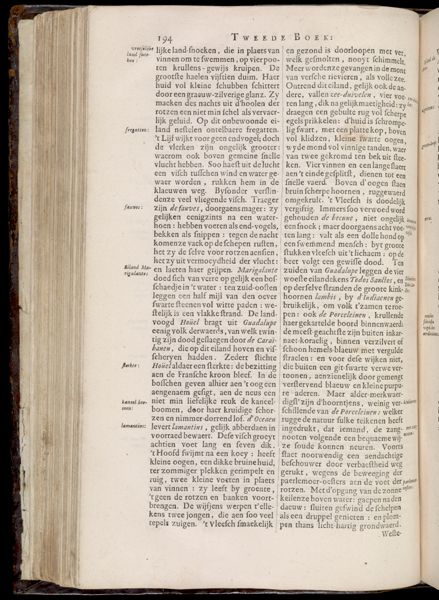 Page 233
