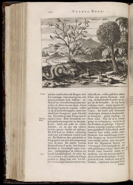 Page 239